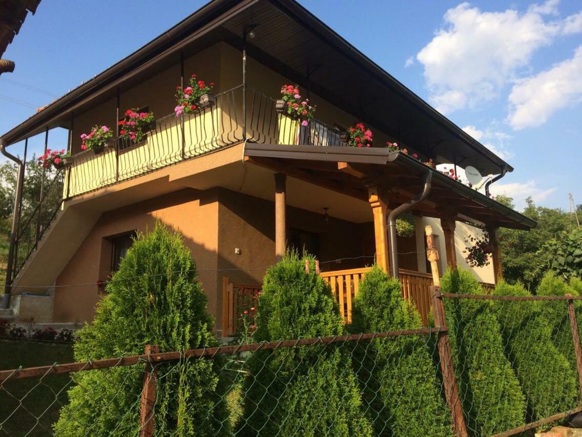 Turizam Koturovic Bed & Breakfast Ivanjica Exterior photo